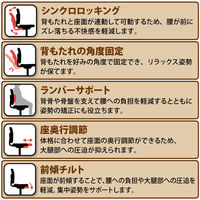 中央可鍛工業 シルエットチェア　多機能メッシュチェア　ランバーサポート付き　ブルー1脚（取寄品）