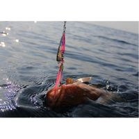 ハヤブサ FS422-100-9 キックボトム グローピンク 1個（直送品）