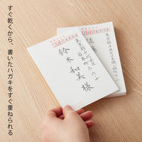 ぺんてる 速乾ぺんてる筆中字うす墨 XFPD3L 1本