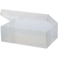 ベストコ ゼーエン シューズボックス フルオープン レディース ND-9181 幅185×奥行297×高さ97mm クリア 1個（直送品）