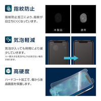 iPhone 12 Pro Max 液晶保護フィルム 高透明・Hydro Ag+(抗菌)・高硬度3H（直送品）