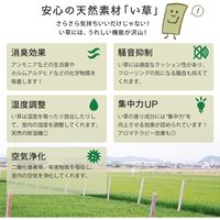 萩原 すき間のできにくい 置き畳 四季 幅820×奥行820×高さ15mm ナチュラル 140166735 1セット(9枚入)（直送品）