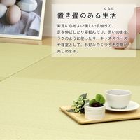 萩原 水拭きできる い草風 置き畳 彩模様 幅820×奥行820×高さ25mm ブラウン 159055692 1セット(9枚入)（直送品）