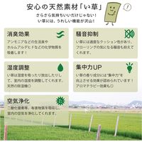 萩原 置き畳 シャイン 820×820×11mm ブラウン 159063051 1セット(9枚入)（直送品）