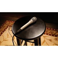 SHURE コンデンサーボーカルマイクロホン／シャンパン KSM9SL-X 1個（直送品）