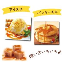 メロディアン アラカフェキャラメル 1袋（10ml×20個入）