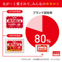 ロッテ ホカロン くつ下に貼るカイロ 黒 1ケース（240足：1箱（15足入）×16箱） くつした用 靴下用