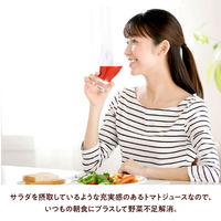 カゴメ 濃厚リコピン 195ml 1セット（24本）