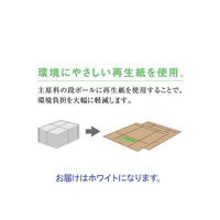 ゼネラル　文書保存箱　イージーキャビネット　引き出しタイプ　ホワイト　 A4用　1枚（わけあり品）