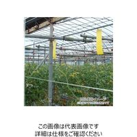 一色本店 ビタットトルシー S 徳用 100P 青色 50×350mm 50X350mm 1個(100枚)（直送品）