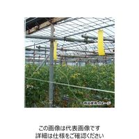 一色本店 ビタットトルシー S 25P 黄色 50×350mm 50X50mm 1個(25枚)（直送品）