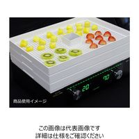 東明テック 家庭用食品乾燥機 プチマレンギDX TTMー440N 1個（直送品）
