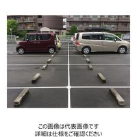 グラス・ファイバー工研 駐車場専用ラインテープ ブーブーライン 50mm アスファルト用 BBL5-T1A 1巻（直送品）