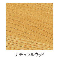 ストア・エキスプレス ミーティングテーブル ナチュラルウッド 幅120×奥行60×高さ70cm 27740-120 1台（直送品）