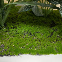 ストア・エキスプレス プランターボックス専用植栽 W90cm 31101-102 1個 61-830-75-2（直送品）