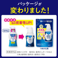 歯磨き粉 ピュオーラ 泡ハミガキ フレッシュミントの香味 つめかえ 100mL 花王