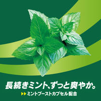 ガム 大容量 キシリトールガム ロングミント オリジナルミント ファミリーボトル 133g 1セット（1個×6）