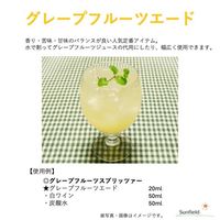 割り材 シロップ グレープフルーツエード 1000ml 1L 1ケース(12本)