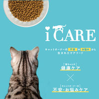 i CARE（アイケア）腸内環境ケア 成猫用 チキン味 国産 1.2kg（300g×4袋）1袋 アイシア キャットフード