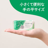 ウェットティッシュ エリエール ポケットウエットティシュー 除菌ノンアルコールタイプ 携帯用 1パック（7枚入×6個）大王製紙