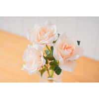 アンファンス テーブルランプ エレガントライト ROSE 電池式 アプリコット 452275 1個（直送品）