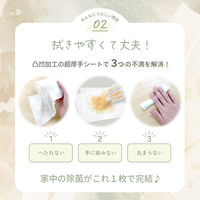 ウェットシート 超厚手ウェットシート 除菌ノンアルコールタイプ 本体 1パック（40枚入）ETPI