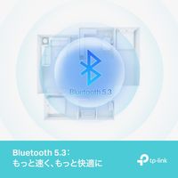 TP-LINK 無線LAN子機 Bluetooth 5.3対応 ハイパワーUSBアダプター UB500 PLUS