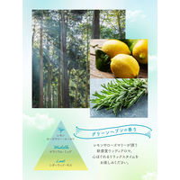 ラボン LAVONS トゥザムーン ベッドルーム ペーパーフレグランス グリーンヘブンの香り 1セット（1個×2） つり下げ式芳香剤