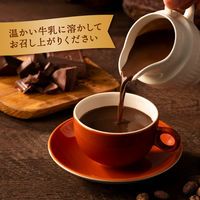 片岡物産 バンホーテンホットチョコレート2025‐2026 リミテッドデザイン缶 1個（150g）