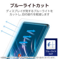 エレコム 11インチ iPad Pro(M4) フィルム 高透明 ブルーライトカット 抗菌 TB-A25PMFLBLGN 1個