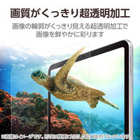 エレコム 11インチ iPad Pro(M4) フィルム 超透明 気泡防止 TB-A25PMFLAG 1個