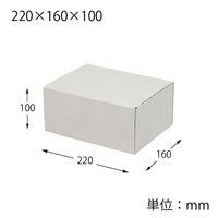 シモジマ HEIKO ナチュラルグレーボックス 220×160×100 無地 006220005 1セット(1セット(100枚入)×5)（直送品）