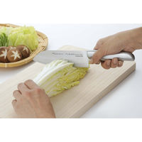 カクセー 中村孝明ステンレス包丁&まな板セット a35172 1個（直送品）