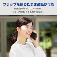 iPhone17 Pro ケース レザー 手帳型 マグネット 衝撃吸収 ブラック PM-A25CPLFY3BK エレコム 1個（直送品）