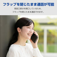 iPhone17 Pro Max ケース レザー 手帳型 マグネット 衝撃吸収 ブラック PM-A25DPLFY3BK エレコム 1個（直送品）