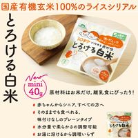 とろける白米　お湯と混ぜるだけの10秒おかゆ　1袋（40g）　国産有機白米100%使用　ニューグリーン