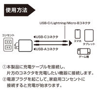 YAMAZEN USB充電器 PD対応 20W GaN USBーA×1 USBーC×1 急速充電 YPD-20CA 1個
