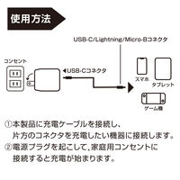 YAMAZEN USB充電器 PD対応 35W GaN USBーC×1 急速充電 YPD-35C 1個