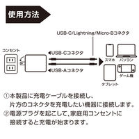 YAMAZEN USB充電器 PD対応 48W GaN USBーA×1 USBーC×1 急速充電 YPD-48CA 1個