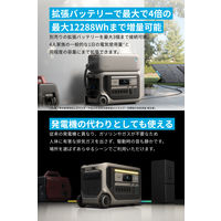 Anker Solix F3000 Portable Power Station A1782511 1個