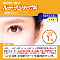 （数量限定おまけ付） DHC　ルテイン光対策（60日分）　1袋（7日持続型ビタミンＢミックス付）