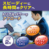 （数量限定） DHC　速攻ブルーベリー V-MAX （20日分）　1セット（2袋パック）