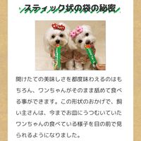 いなば 旅するちゅーる 3種のごほうびセレクション 国産 (6g×18本)1袋 ちゅ～る ドッグフード 犬用 おやつ