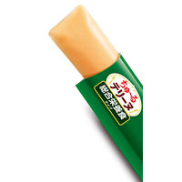 いなば ちゅーる テリーヌ 総合栄養食タイプ とりささみ 国産 (15g×4本)2袋 ちゅ～る ドッグフード 犬用 おやつ