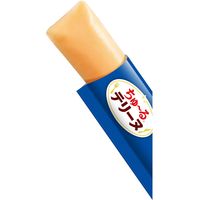 いなば ちゅーる テリーヌ かつお 国産 (15g×4本)10袋 ちゅ～る ドッグフード 犬用 おやつ