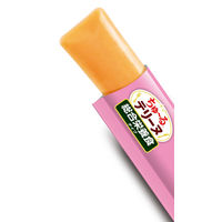 いなば ちゅーる テリーヌ 総合栄養食タイプ ビーフ 国産 (15g×4本)2袋 ちゅ～る ドッグフード 犬用 おやつ