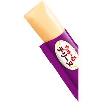 いなば ちゅーる テリーヌ さつまいも 国産 (15g×4本)10袋 ちゅ～る ドッグフード 犬用 おやつ