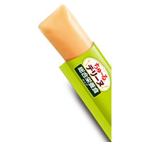 いなば ちゅーる テリーヌ 総合栄養食タイプ ささみ＆緑黄色野菜 国産 (15g×4本)10袋 ちゅ～る ドッグフード 犬用 おやつ