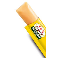 いなば ちゅーる テリーヌ 総合栄養食タイプ とりささみ チーズ入り 国産 (15g×4本)10袋 ちゅ～る ドッグフード 犬用 おやつ