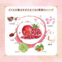 養命酒製造 豊潤ざくろ酒 700ml 1本 果汁30% 香料無添加 リキュール